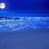 Moon And Ocean paint by number