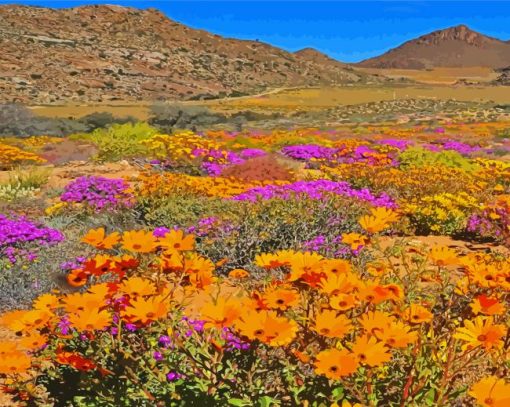 Namaqua National Park Blooming Desert paint by number