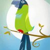 Nanday Conure Parrot Art paint by number