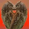 Owls In Love paint by number