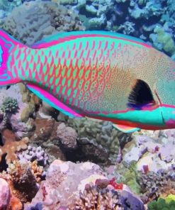 Parrot Fish paint by number