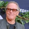 Peter Fonda American Actor paint by number