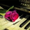 Pink Rose On A Piano paint by number