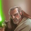 Qui Gon Art paint by number