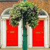Red Irish Doors paint by number