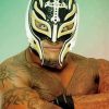 Rey Mysterio Professional Wrestler paint by number