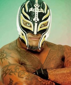 Rey Mysterio Professional Wrestler paint by number