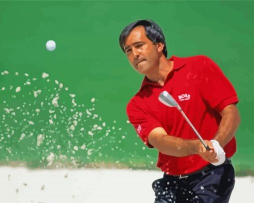 Spanish Golfer Seve Ballesteros paint by number