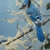 The Blue Jay In Winter paint by number