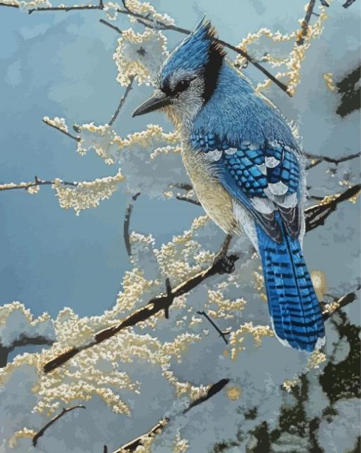 The Blue Jay In Winter paint by number