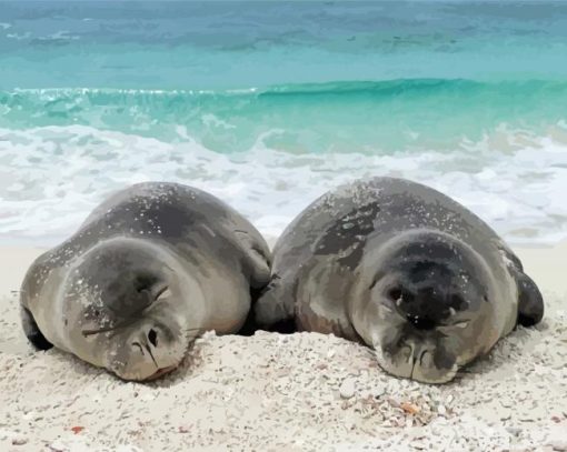 Two Monk Seal paint by number