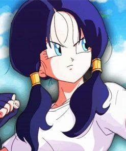 Videl Dragon Ball paint by number