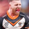 Wests Tigers National Rugby League Player paint by number