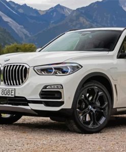 White Bmw X5 Car paint by number