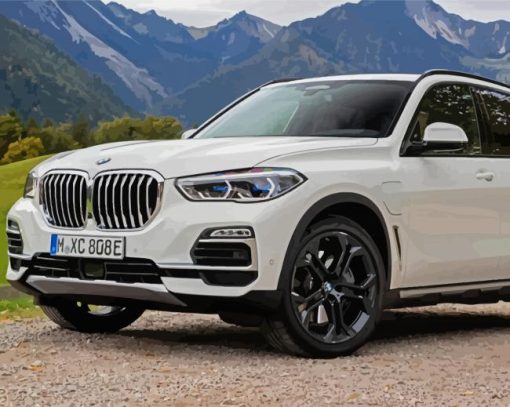 White Bmw X5 Car paint by number