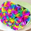Aesthetic Rainbow Roses paint by number