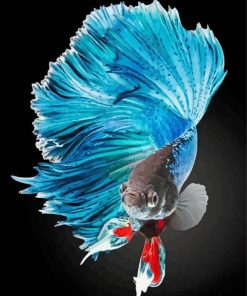 Aesthetic Blue Betta Fish paint by number