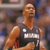 Basketball Player Chris Bosh paint by number