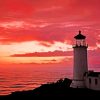 Beautiful View In North Head Lighthouse paint by number