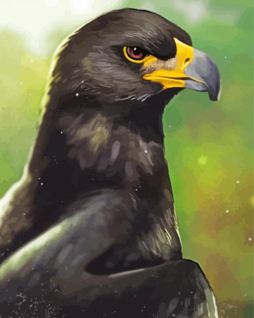 Black Eagle Art paint by number