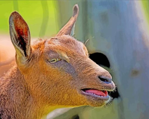 Brown Nigerian Dwarf Goat paint by number