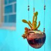 Cactus Hanging Plants paint by number