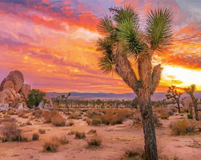 California Desert Sunset paint by number