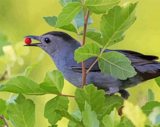 Catbird Eating paint by number