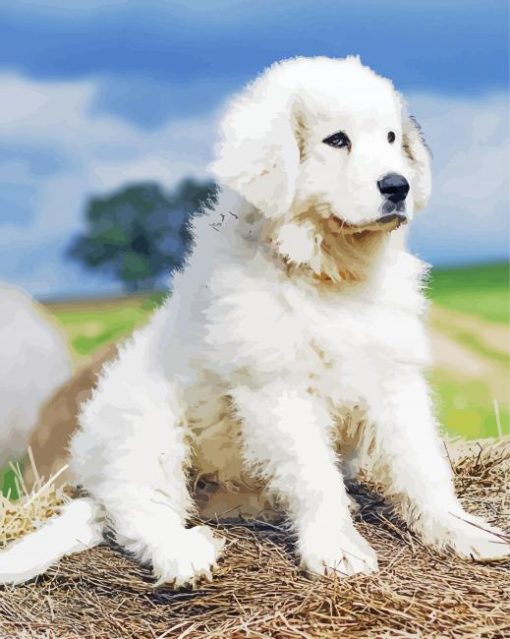 Cute Great Pyrenees paint by number