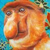 Proboscis Monkey Of Borneo Art paint by number