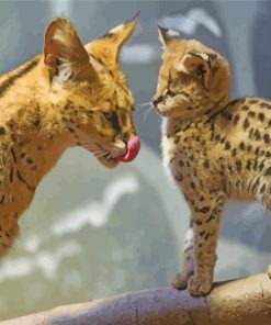 Serval Cat And Her Baby paint by number