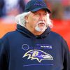 The American Football Coach Rob Ryan paint by number