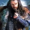 Thorin Scudodiquercia Illustration paint by number