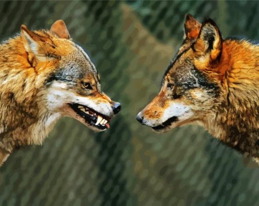 Wolves Face To Face paint by number