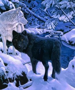 Wolves In The Snow paint by number