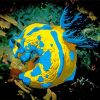 Yellow And Blue Sea Slug paint by number