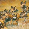 African Hunting Dogs Animals paint by number