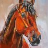 Bay Horse Head Art paint by number