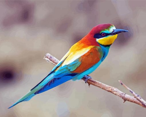 Bee Eater Bird paint by number
