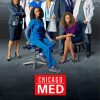 Chicago Med Poster paint by number