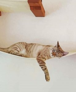 Cat On Wall paint by number