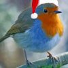 Christmas Robin In Santa Hat paint by number