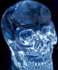 Crystal Skull paint by number