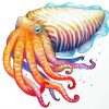 Cuttlefish paint by number