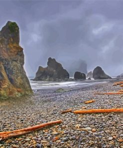 Forks Beach Washington paint by numbers