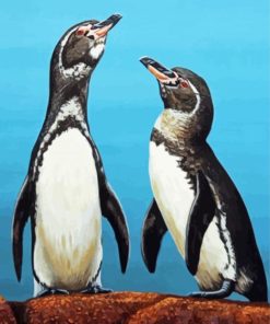 Galapagos Penguin Birds paint by number