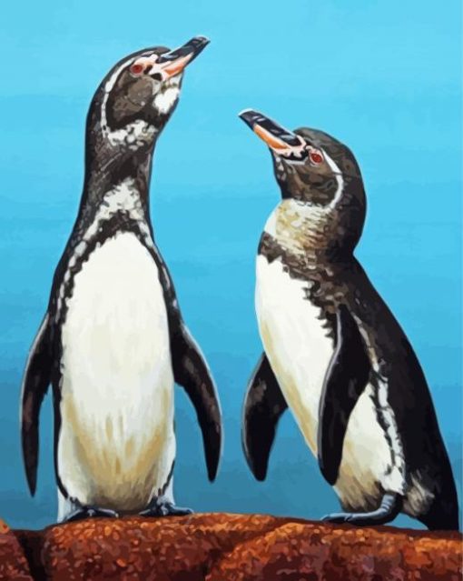 Galapagos Penguin Birds paint by number