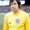 Gordon Banks Player Paint by number