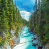 Kootenay National Park paint by number