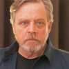 Mark Hamill American Actor paint by number